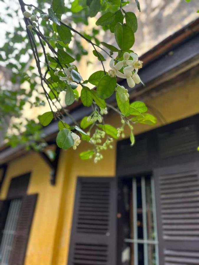 Ciel Homestay Hue Exterior photo